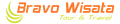 Logo Orange Bravo